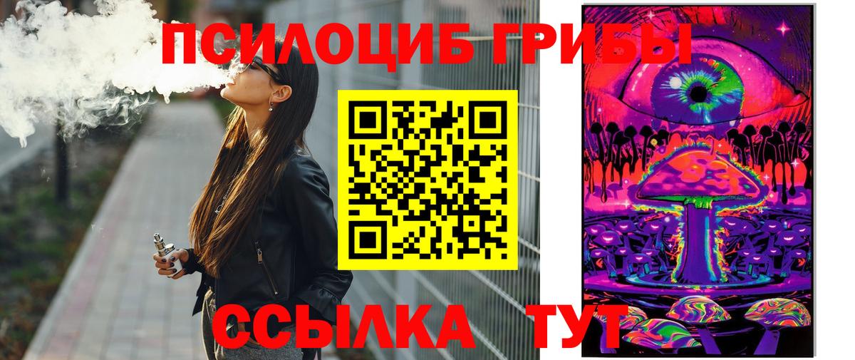 Кемерово  Псилоцибиновые грибы Psilocybine cubensis  Вход с VPN 